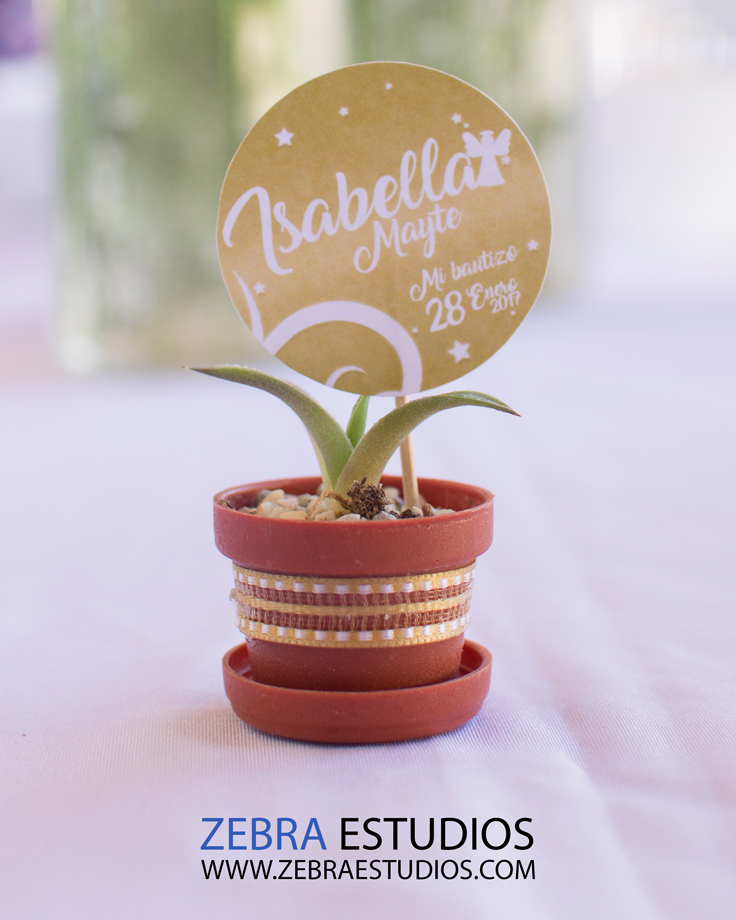 Fotografía profesional de bautizo en Querétaro